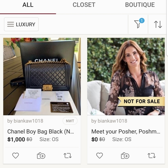 Bianka Avelino & Pedro Avelino. SCAMERS!!! - Picture 5 of 8